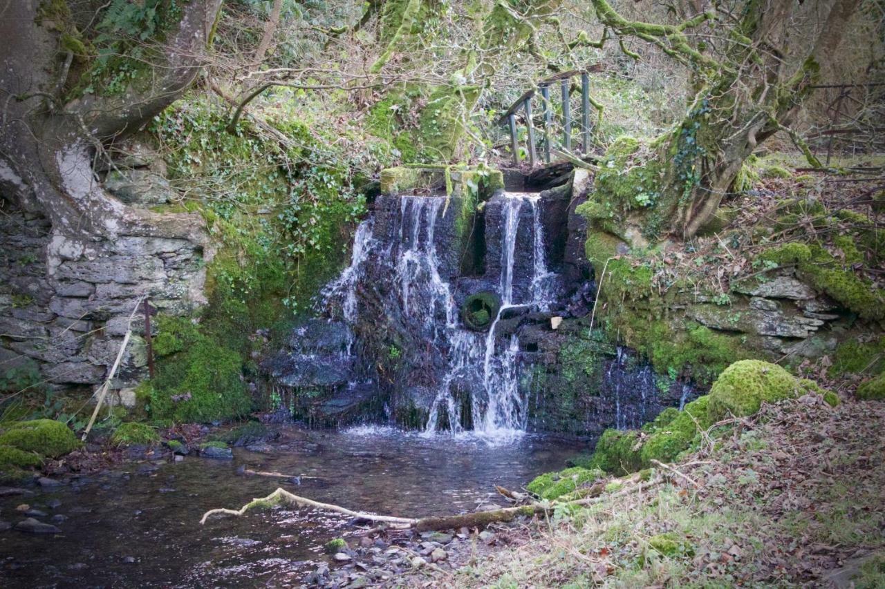 Waterfall Cottage Launceston Bagian luar foto